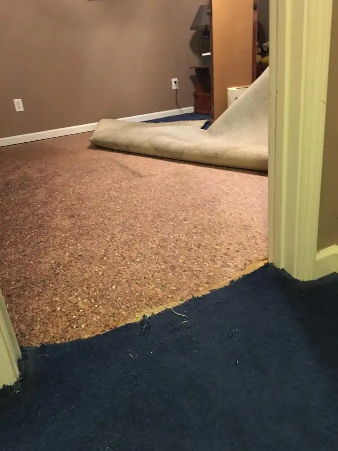Carpet pad removal revealing water damage during Water Mitigation Services in Upper Hanover