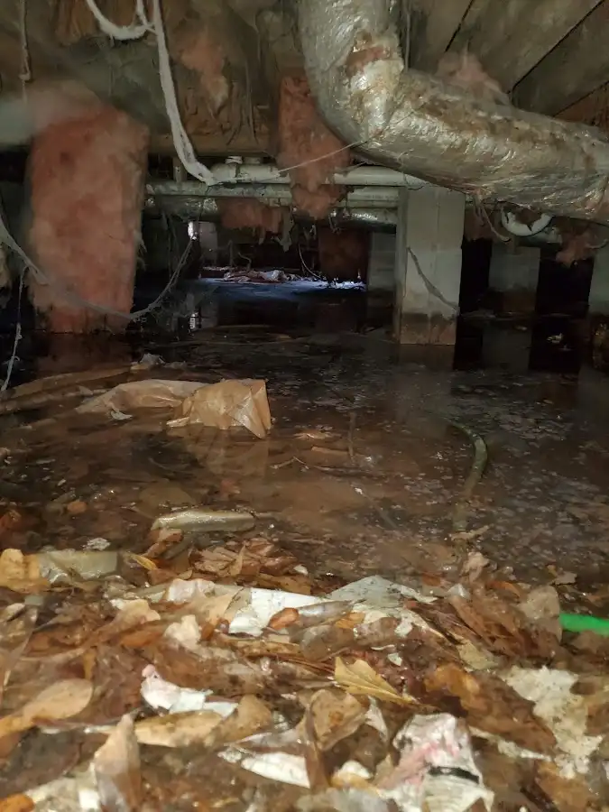 Crawl space flood assessment for Leak Detection & Repair in Upper Hanover