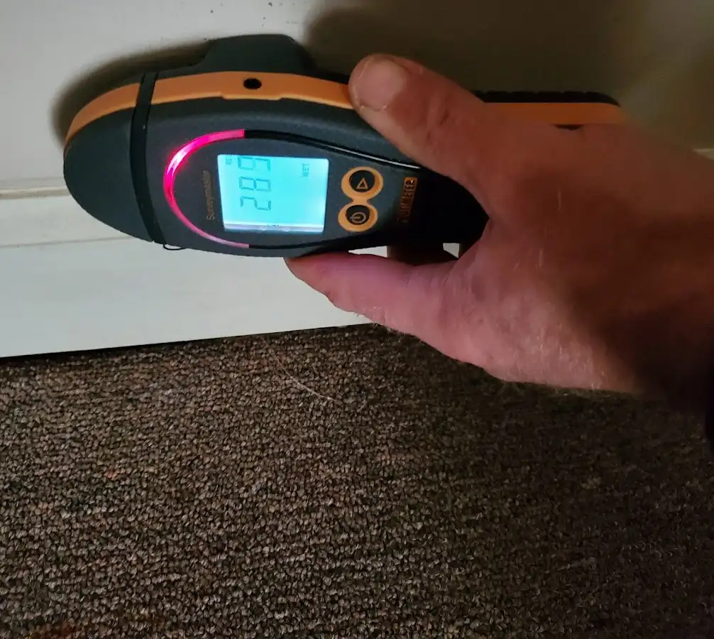Moisture detection at baseboard during Mold Inspection & Testing in Upper Hanover